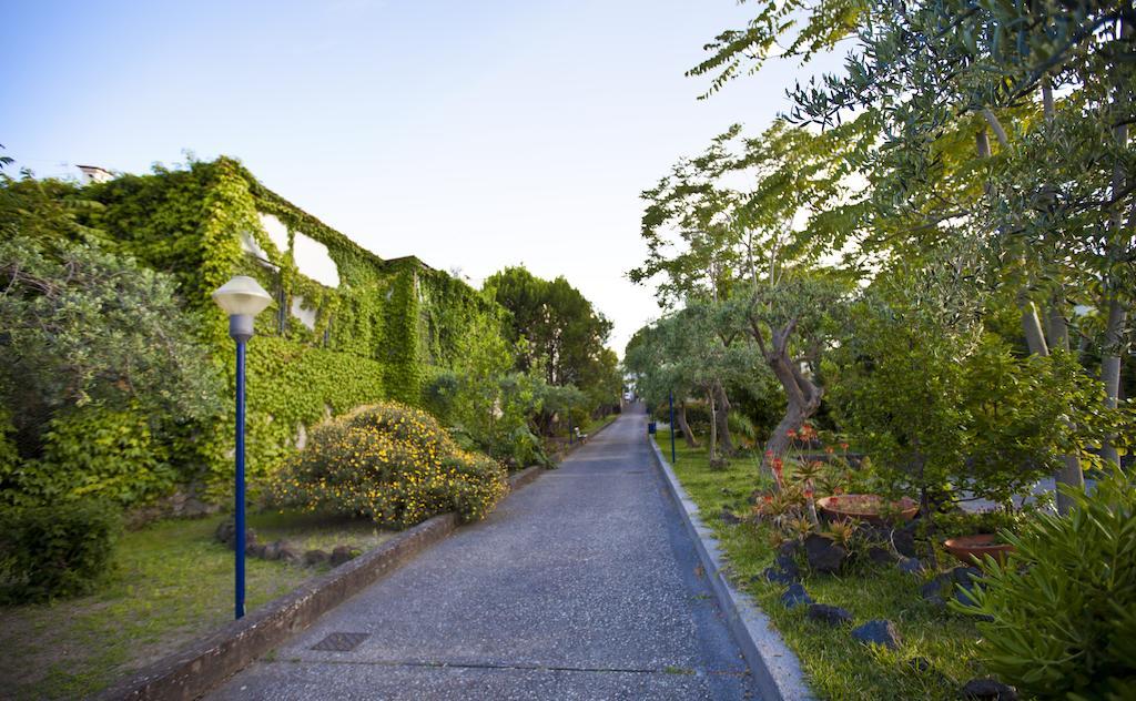 Hotel Terme Alexander Ischia Esterno foto
